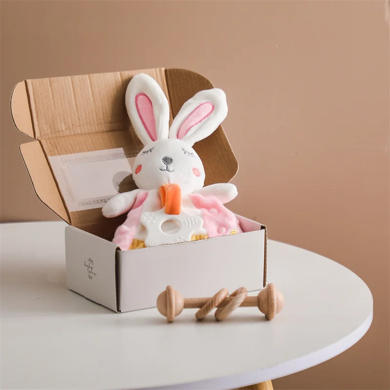 CozyBunny Newborn Gift Box